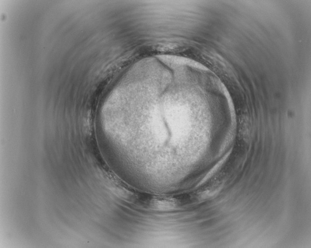 X0000088160510200706051055