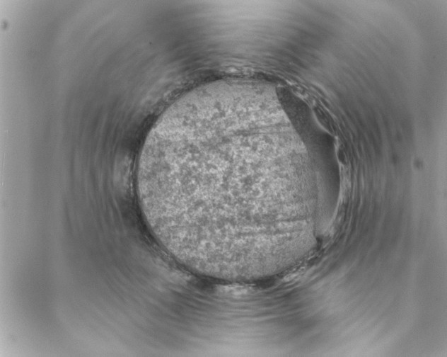 X0000088160511200706051055