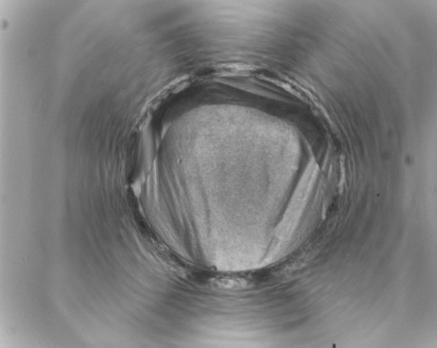 X0000088160512200706051055