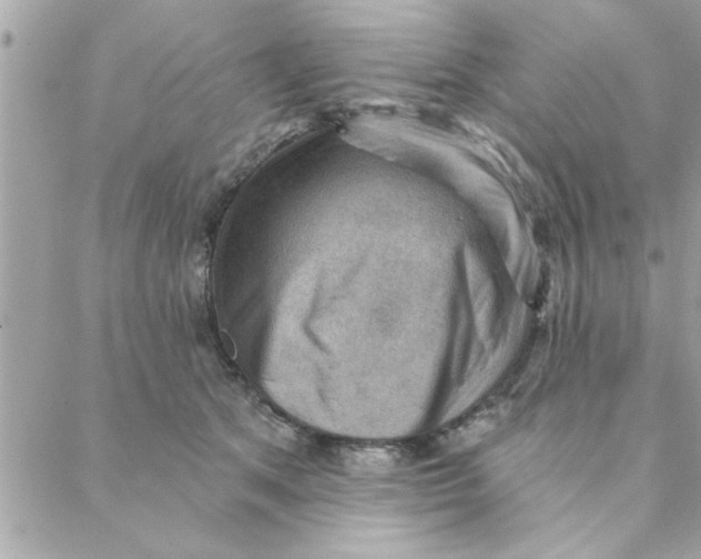 X0000088160513200706051055