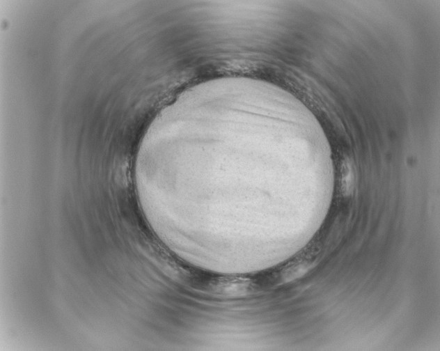 X0000088160514200706051055