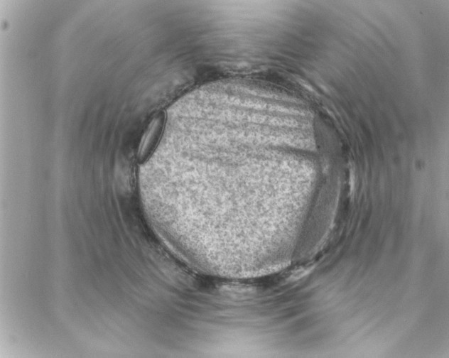 X0000088160515200706051054