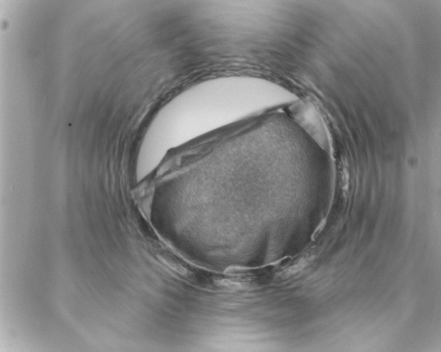 X0000088160516200706051054