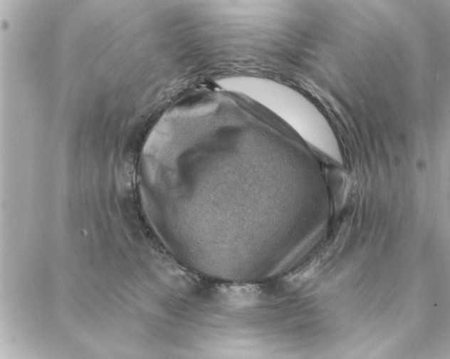 X0000088160517200706051054