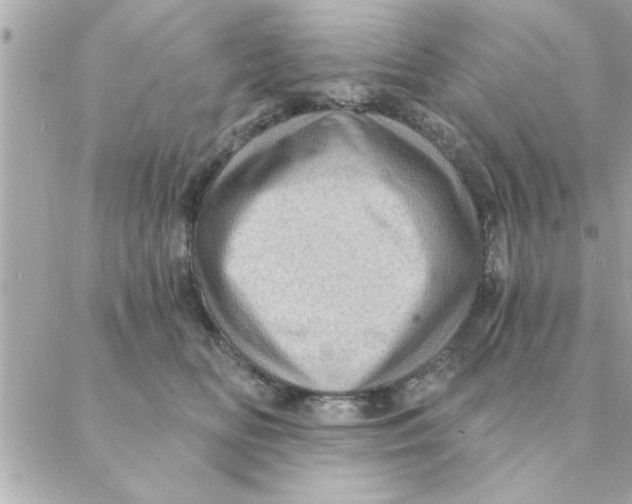 X0000088160518200706051054