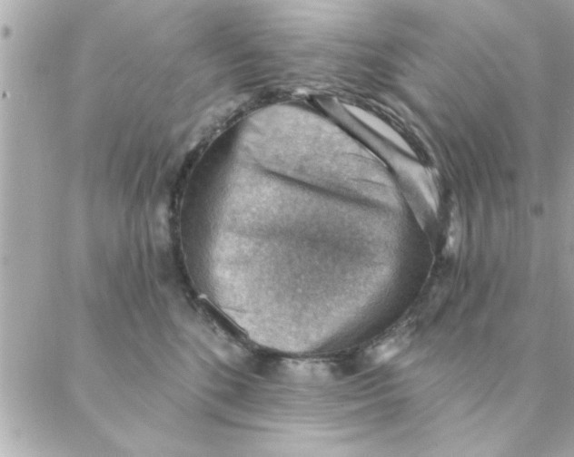 X0000088160520200706051054