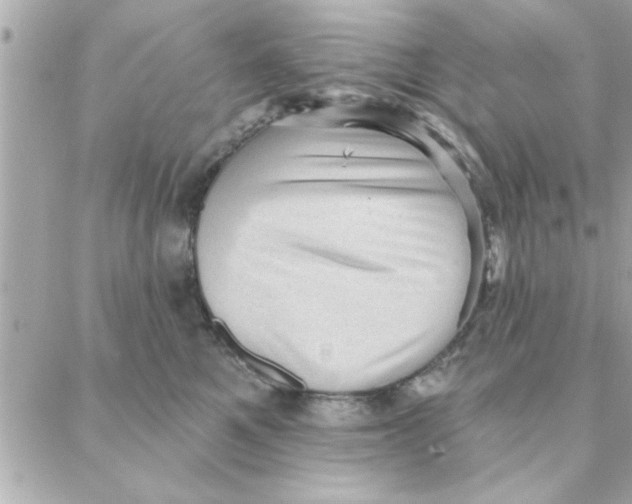 X0000088160521200706051054