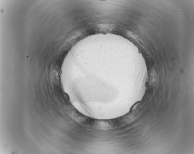 X0000088160522200706051054