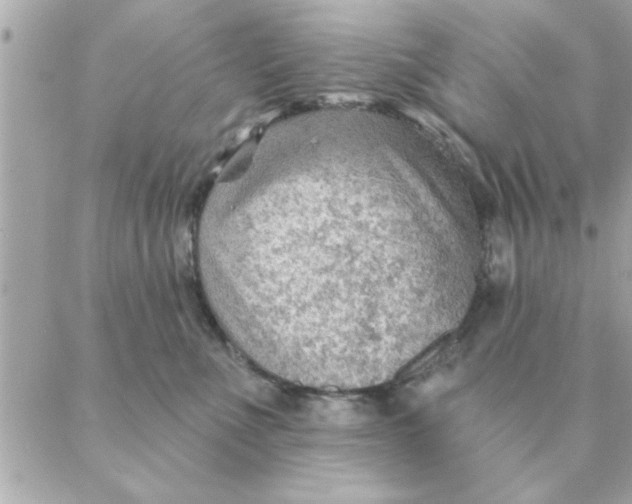 X0000088160523200706051054