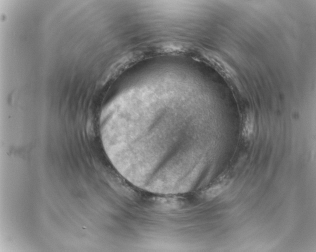 X0000088160524200706051054