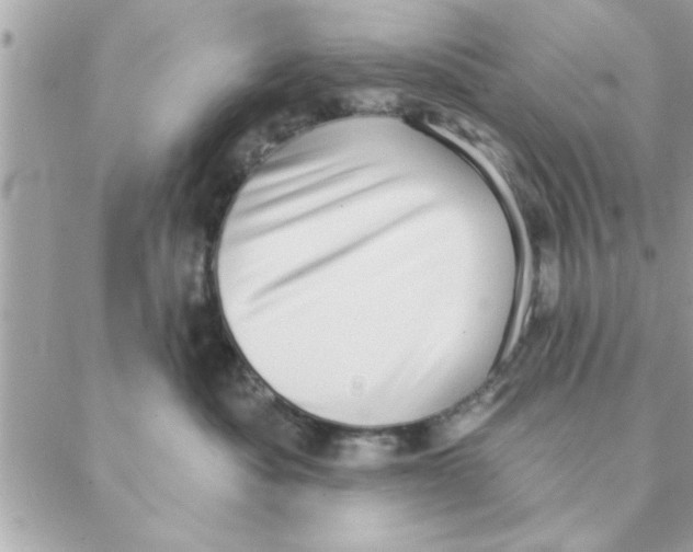 X0000088160525200706051054