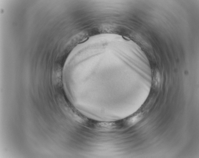 X0000088160526200706051054