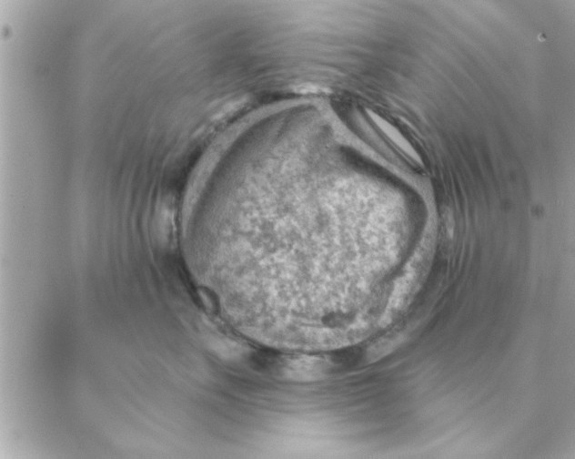 X0000088160527200706051054