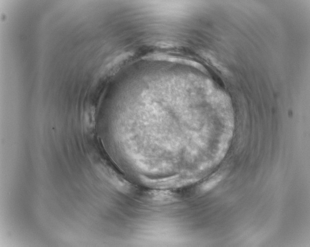 X0000088160528200706051054