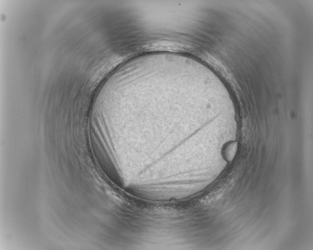 X0000088160529200706051053