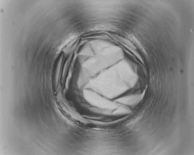 X0000088160530200706051054