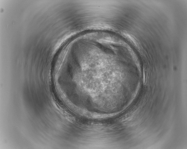 X0000088160531200706051054