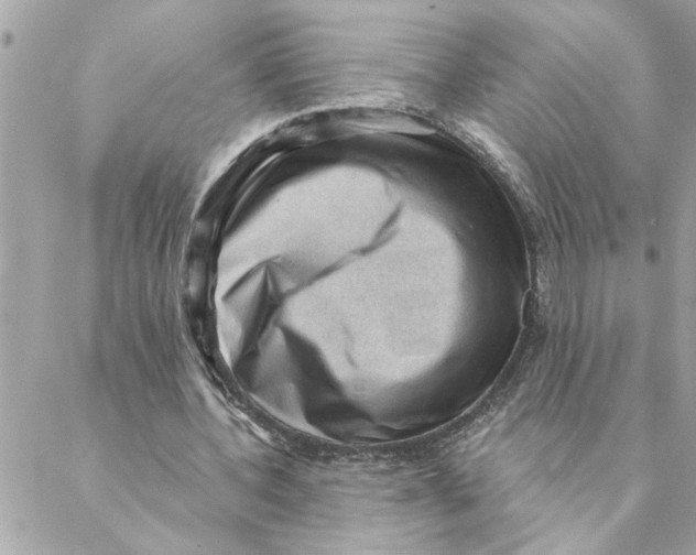 X0000088160532200706051054