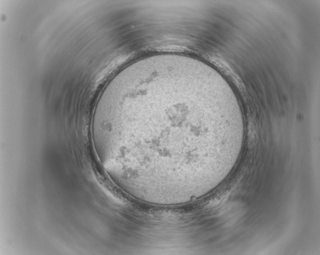 X0000088160533200706051054