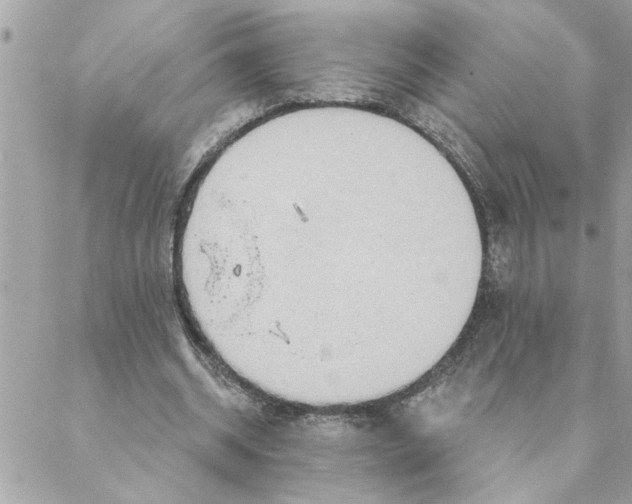 X0000088160534200706051054