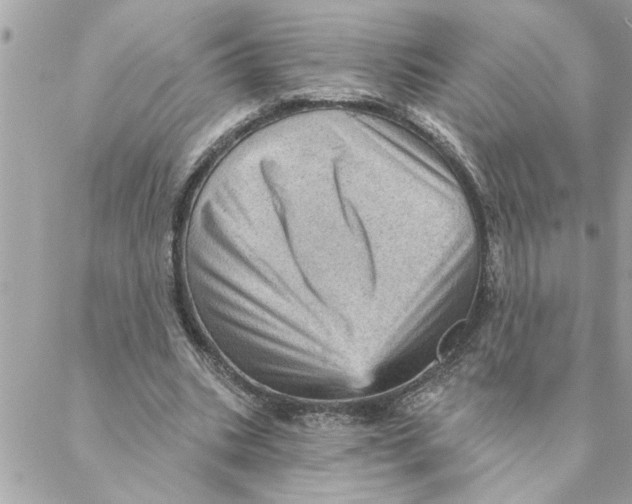 X0000088160535200706051054