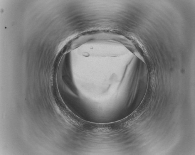 X0000088160536200706051054