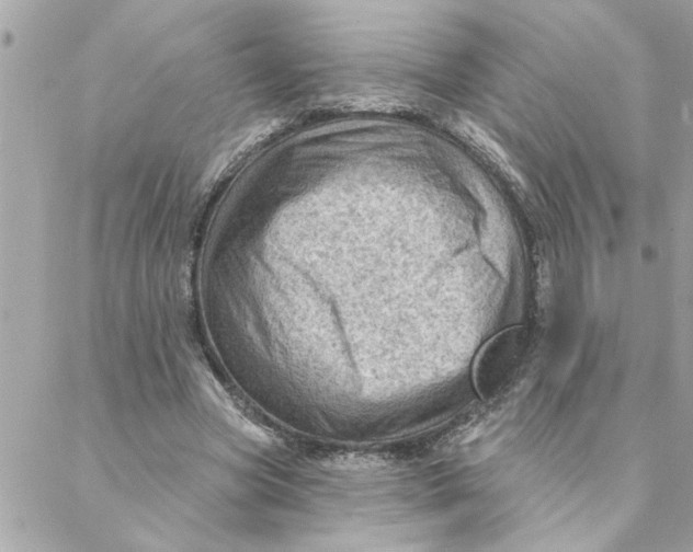 X0000088160537200706051054