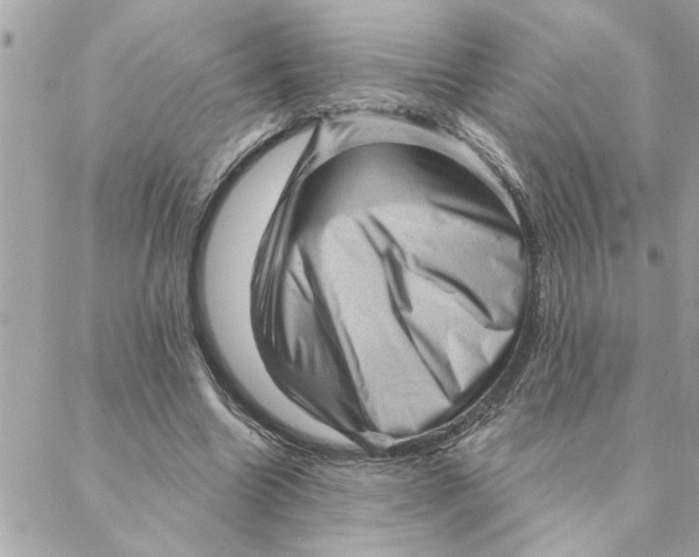 X0000088160538200706051054