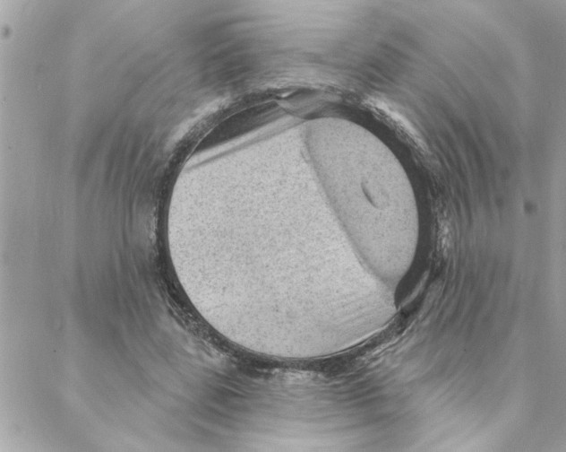 X0000088160539200706051054