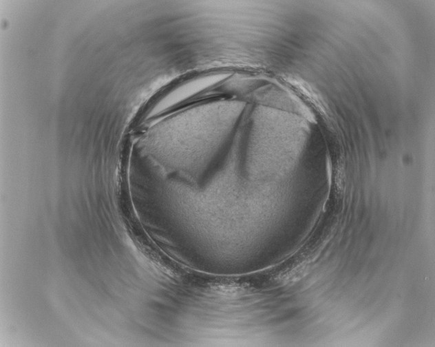 X0000088160540200706051054