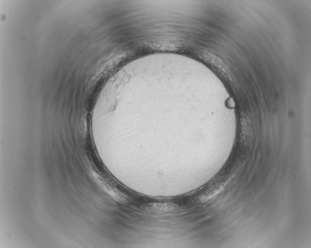 X0000088160541200706051054