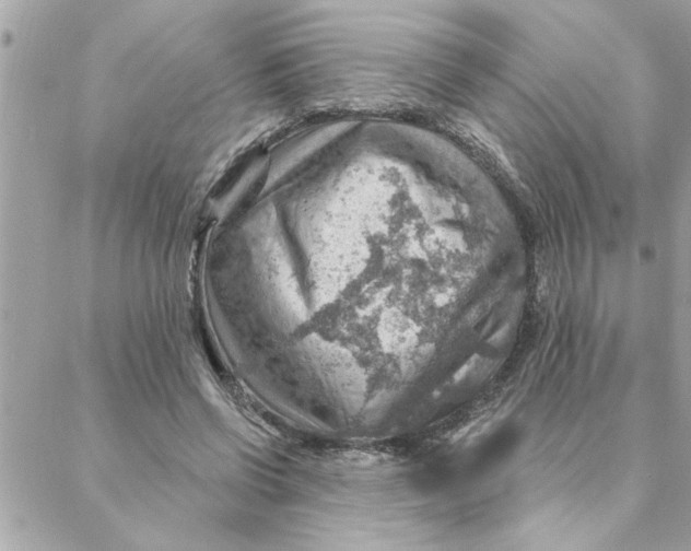 X0000088160542200706051054