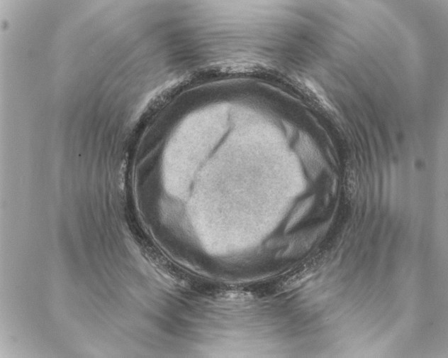 X0000088160543200706051054