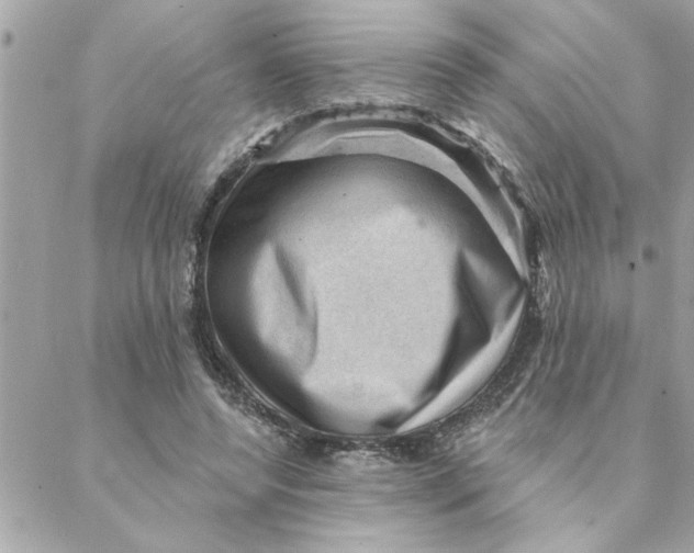 X0000088160544200706051054