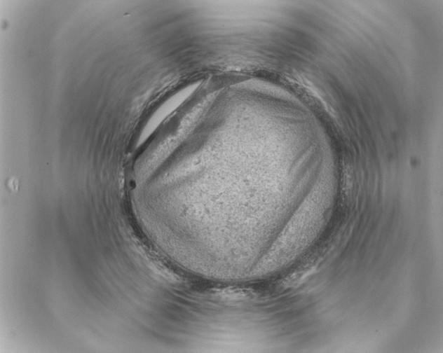 X0000088160545200706051054