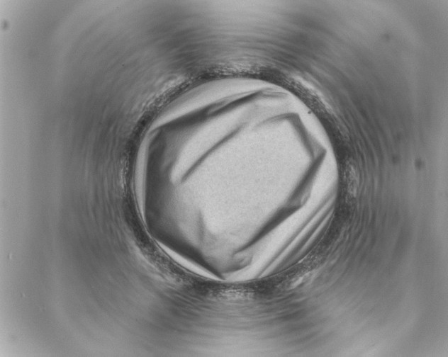 X0000088160546200706051054