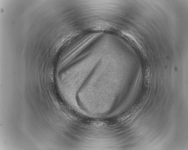 X0000088160547200706051054