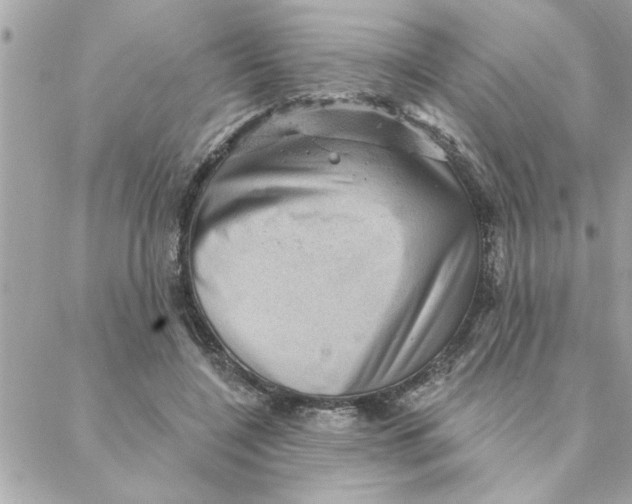 X0000088160548200706051054