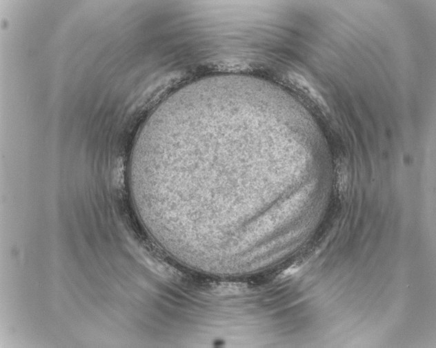 X0000088160549200706051054