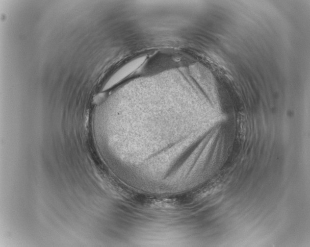 X0000088160550200706051054