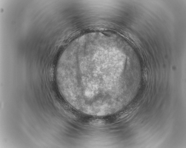 X0000088160551200706051054