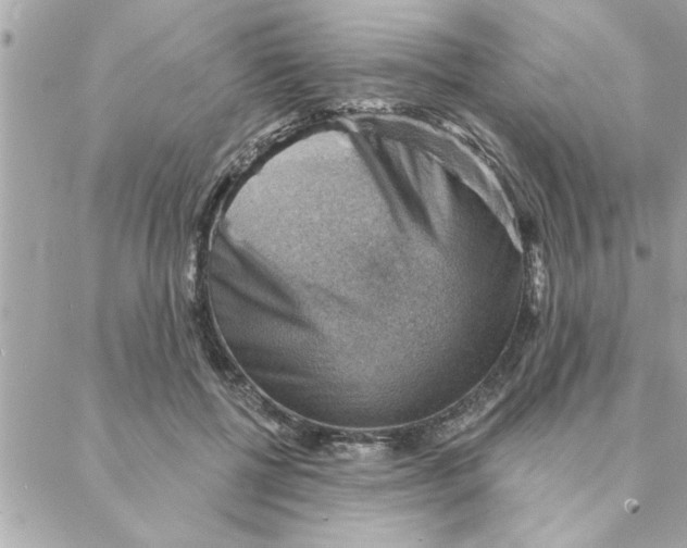 X0000088160552200706051054