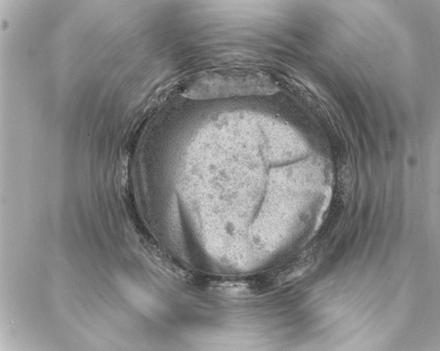 X0000088160554200706051054