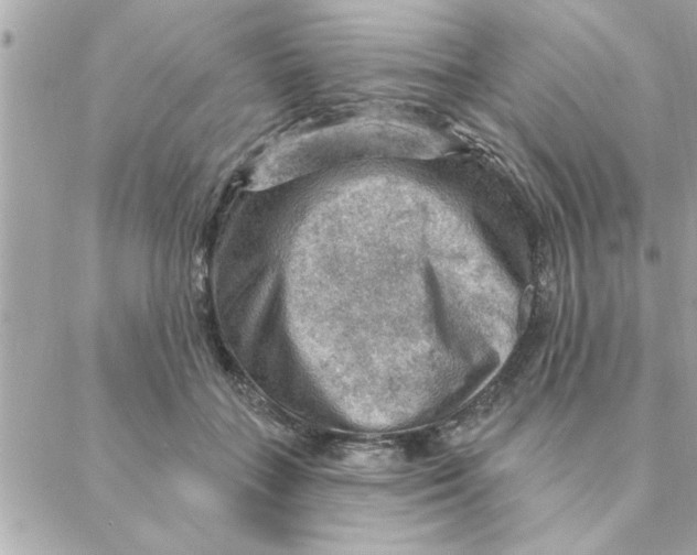 X0000088160555200706051054