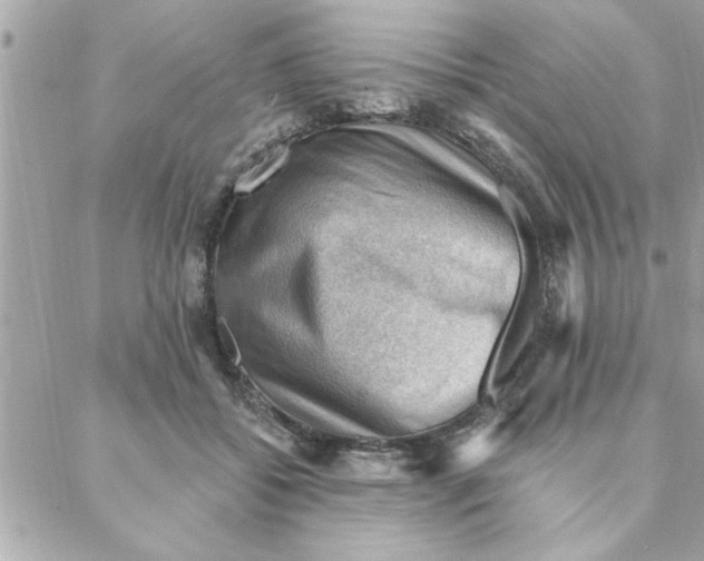 X0000088160556200706051054