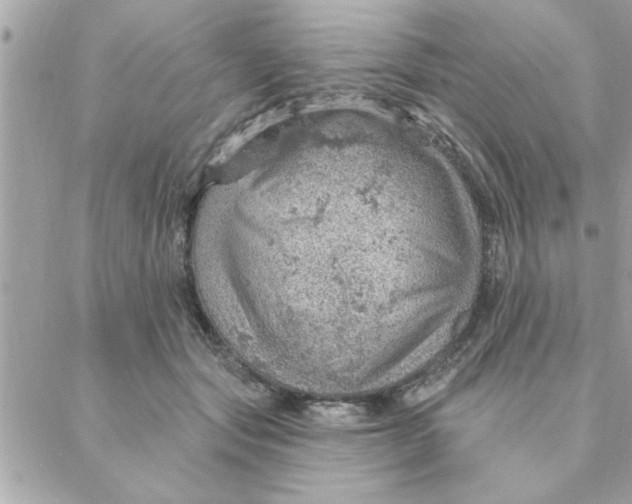 X0000088160557200706051054