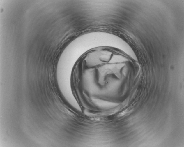 X0000088160558200706051054