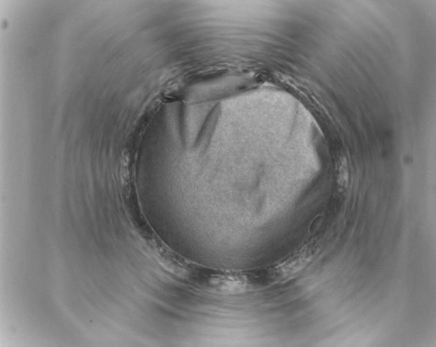 X0000088160559200706051054