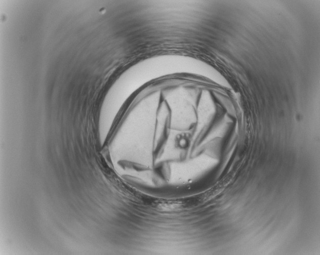 X0000088160560200706051054