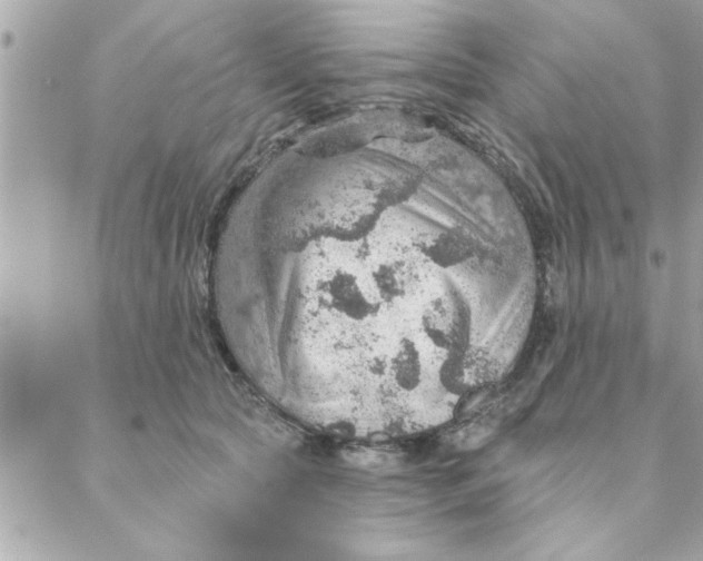 X0000088160561200706051054